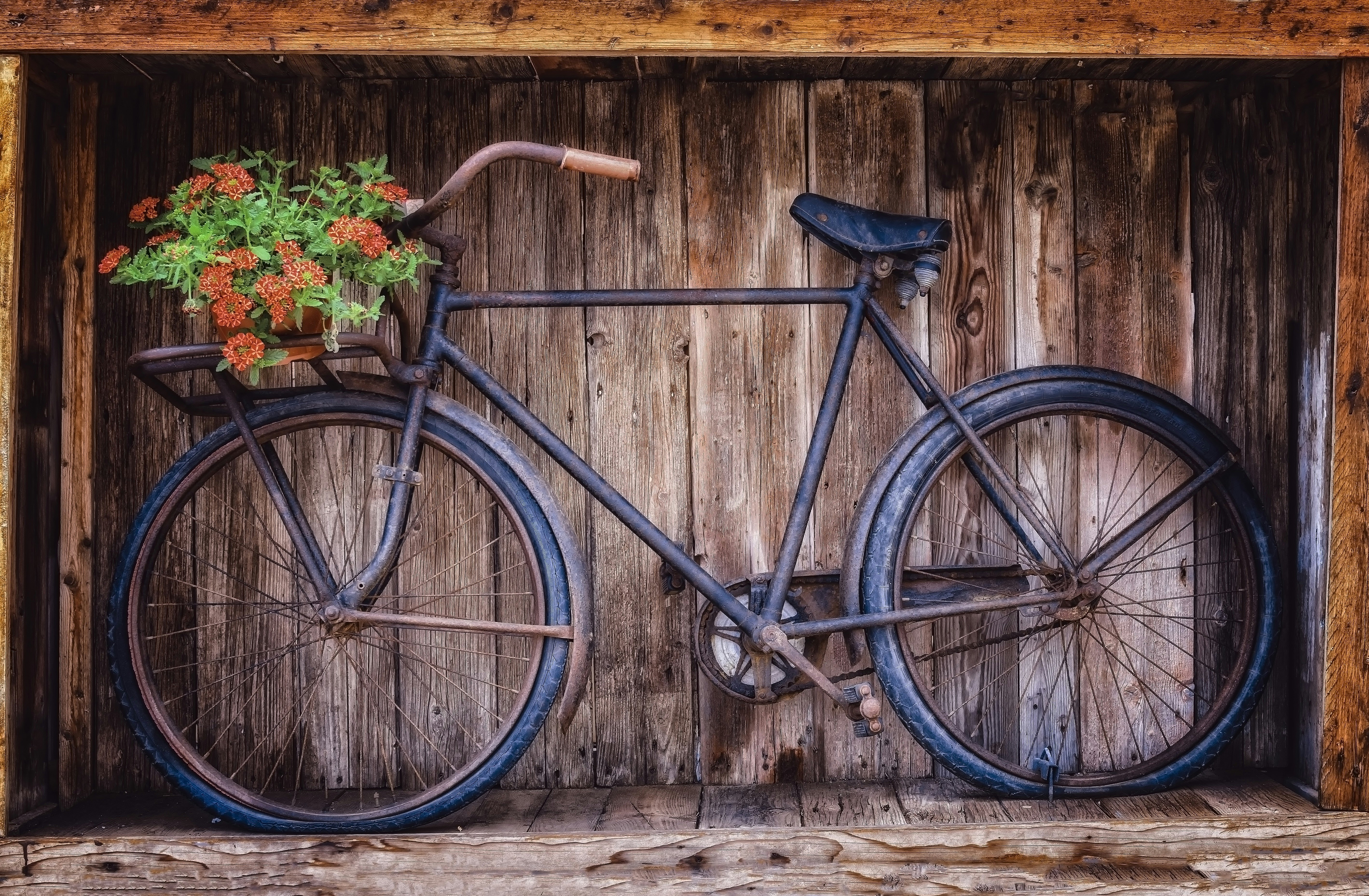 blue and black road bike